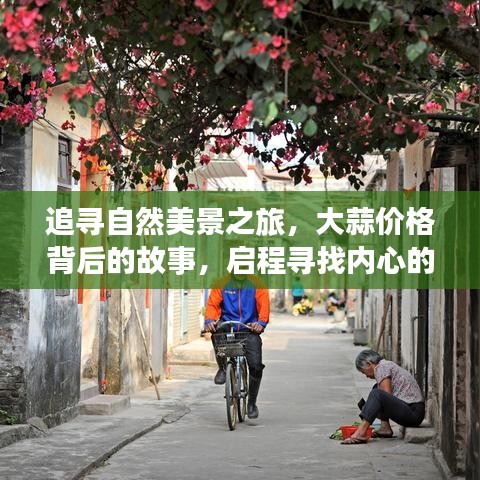 追寻自然美景之旅，探寻大蒜价格背后的故事，启程内心宁静之旅