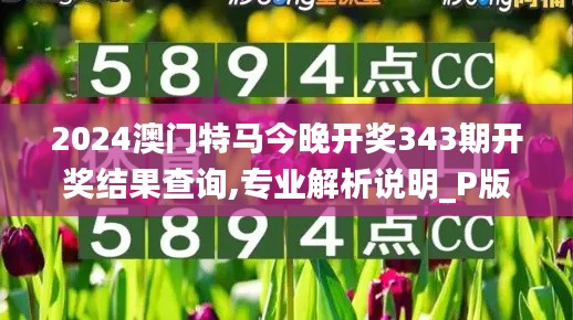 2024年12月8日 第10页