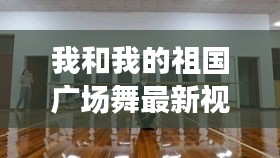 『我和我的祖国广场舞最新视频教学评测——2024年版本详解』