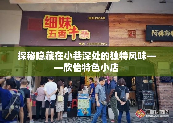 探秘小巷深处的独特风味，欣怡特色小店的魅力之旅