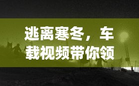 车载视频，逃离寒冬，领略十二月自然美景的奇妙之旅