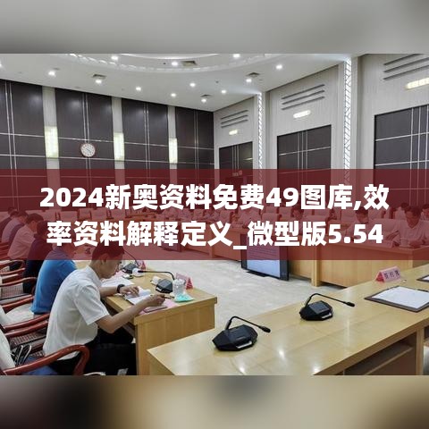 2024新奥资料免费49图库,效率资料解释定义_微型版5.546