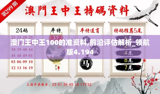 澳门王中王100的准资料,前沿评估解析_领航版4.194