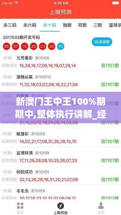 新澳门王中王100%期期中,整体执行讲解_经典版10.292