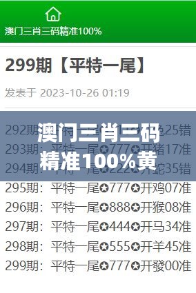 澳门三肖三码精准100%黄大仙,诠释说明解析_社交版4.184