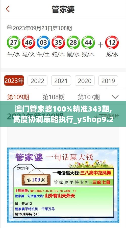 澳门管家婆100%精准343期,高度协调策略执行_yShop9.218