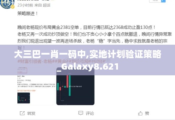 大三巴一肖一码中,实地计划验证策略_Galaxy8.621