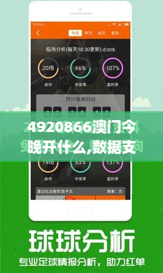 4920866澳门今晚开什么,数据支持计划设计_复刻版7.953