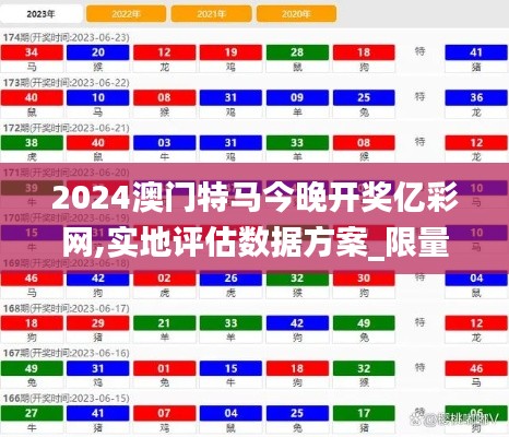 2024澳门特马今晚开奖亿彩网,实地评估数据方案_限量款4.970