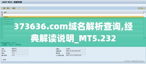 373636.com域名解析查询,经典解读说明_MT5.232