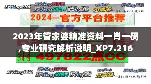 2023年管家婆精准资料一肖一码,专业研究解析说明_XP7.216