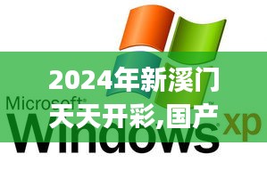 2024年新溪门天天开彩,国产化作答解释定义_XP9.707