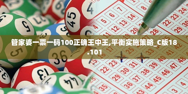 管家婆一票一码100正确王中王,平衡实施策略_C版18.101