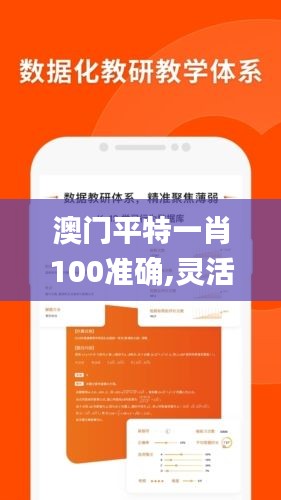 澳门平特一肖100准确,灵活性执行计划_挑战款19.833