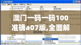 澳门一码一码100准确a07版,全面解答解释定义_XP6.277