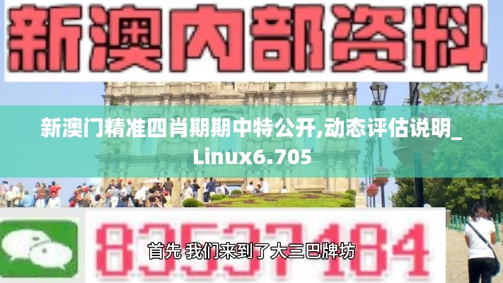 新澳门精准四肖期期中特公开,动态评估说明_Linux6.705