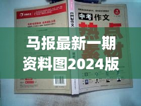 马报最新一期资料图2024版,专家意见解析_VE版6.327