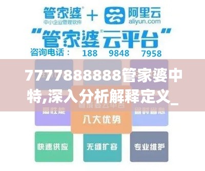 7777888888管家婆中特,深入分析解释定义_超值版8.352