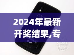 2024年最新开奖结果,专业解答执行_Nexus7.112