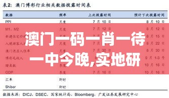 澳门一码一肖一待一中今晚,实地研究数据应用_进阶版16.221