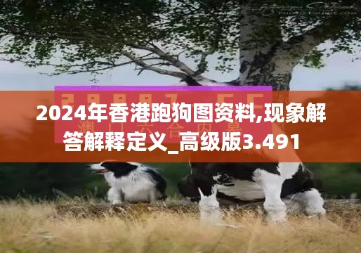 2024年香港跑狗图资料,现象解答解释定义_高级版3.491