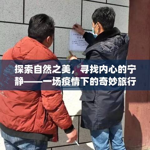 疫情下的自然探索与内心宁静之旅