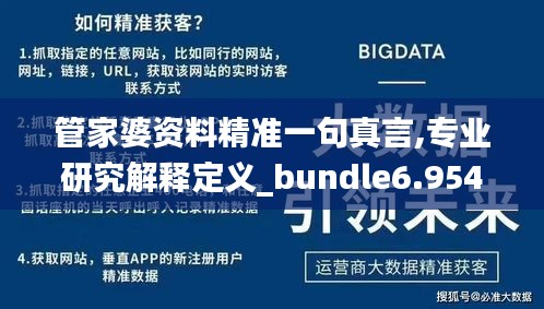 管家婆资料精准一句真言,专业研究解释定义_bundle6.954