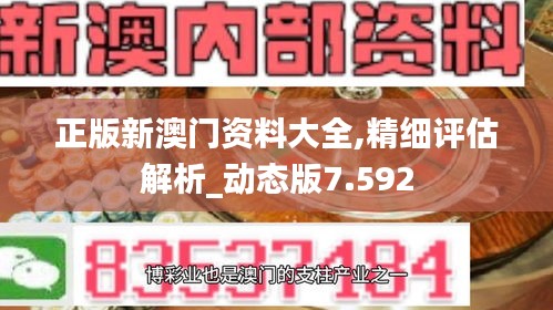 正版新澳门资料大全,精细评估解析_动态版7.592