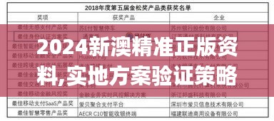 2024新澳精准正版资料,实地方案验证策略_超级版6.983