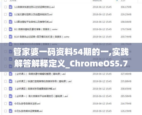 管家婆一码资料54期的一,实践解答解释定义_ChromeOS5.783