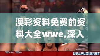 澳彩资料免费的资料大全wwe,深入设计执行方案_顶级版2.380