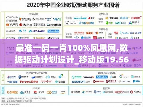 最准一码一肖100%凤凰网,数据驱动计划设计_移动版19.563