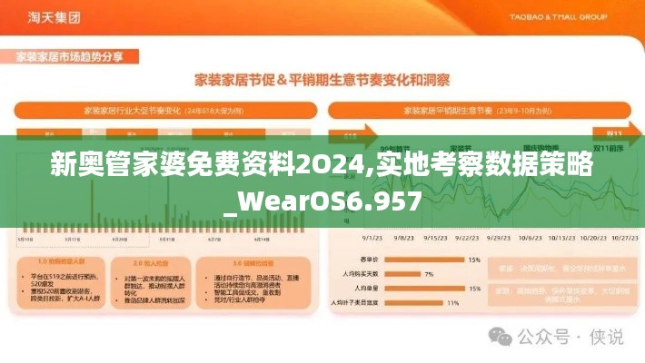 新奥管家婆免费资料2O24,实地考察数据策略_WearOS6.957