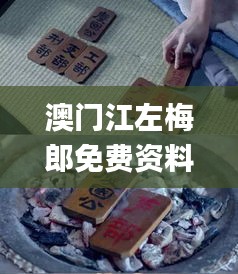 澳门江左梅郎免费资料,动态词语解释定义_理财版5.450