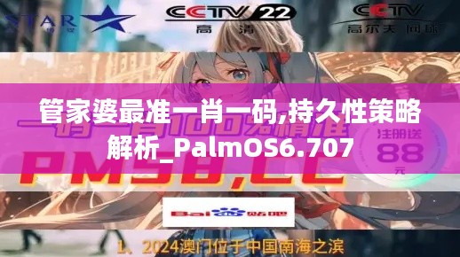 管家婆最准一肖一码,持久性策略解析_PalmOS6.707