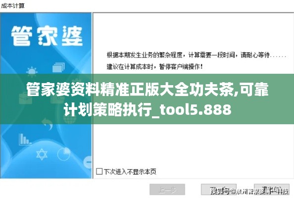 管家婆资料精准正版大全功夫茶,可靠计划策略执行_tool5.888