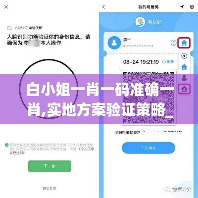 白小姐一肖一码准确一肖,实地方案验证策略_ios9.548