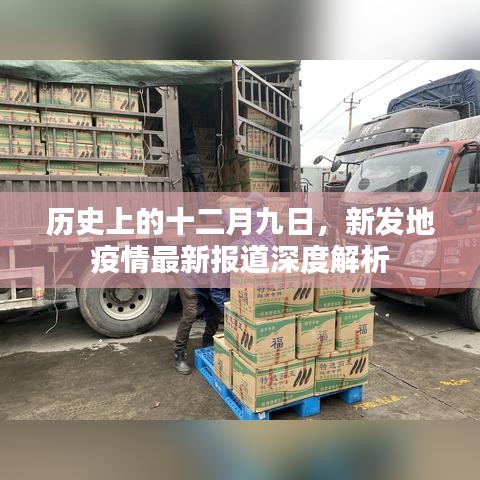 新发地疫情深度解析，历史背景与最新报道