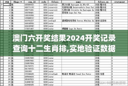 澳门六开奖结果2024开奖记录查询十二生肖排,实地验证数据设计_Plus6.978