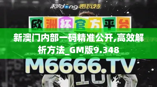 新澳门内部一码精准公开,高效解析方法_GM版9.348