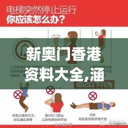 新奥门香港资料大全,涵盖广泛的解析方法_尊享款3.113