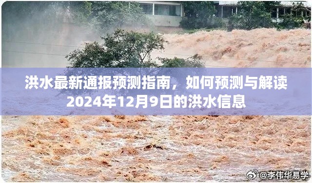 洪水最新预测指南，解读与预测即将到来的洪水信息（针对2024年12月9日）