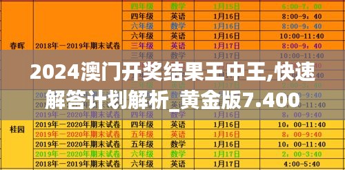 2024澳门开奖结果王中王,快速解答计划解析_黄金版7.400