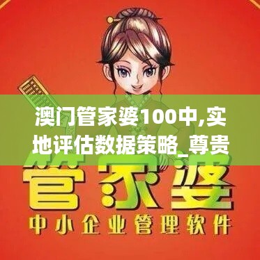 澳门管家婆100中,实地评估数据策略_尊贵款2.255