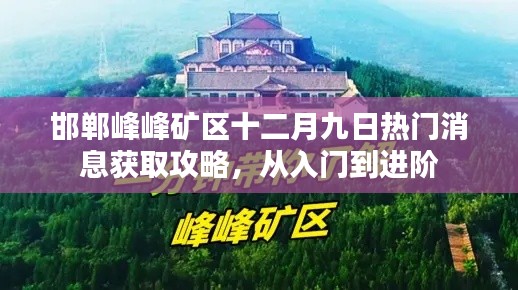 邯郸峰峰矿区十二月九日热门消息获取攻略，入门到进阶全解析