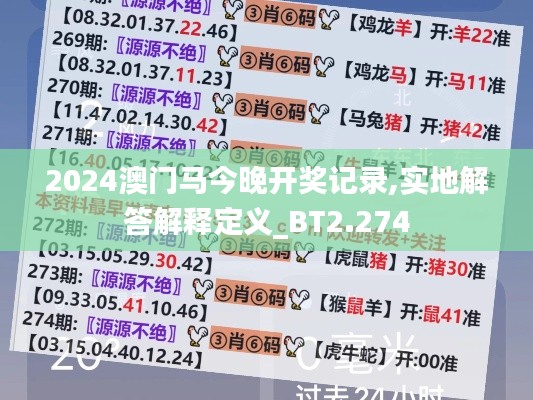 2024澳门马今晚开奖记录,实地解答解释定义_BT2.274