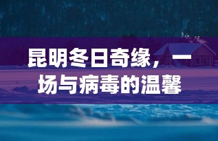 昆明冬日奇缘，与病毒的温情邂逅