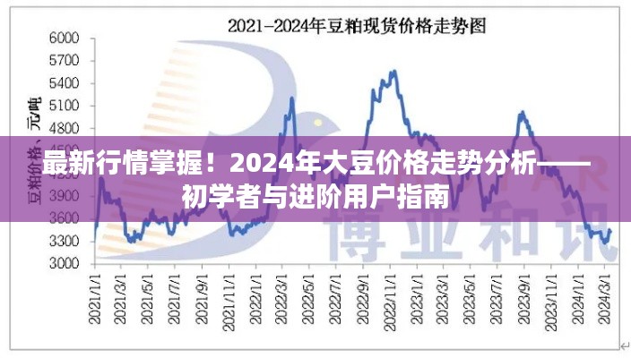 2024年大豆价格走势分析，初学者与进阶用户指南——最新行情掌握！