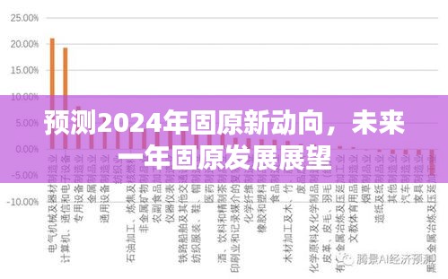 2024年固原发展展望，新动向与未来一年预测