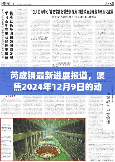 芮成钢最新进展报道，聚焦2024年12月9日动态揭秘